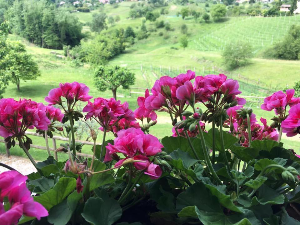 Agriturismo Al Capitello Villa Asolo Luaran gambar