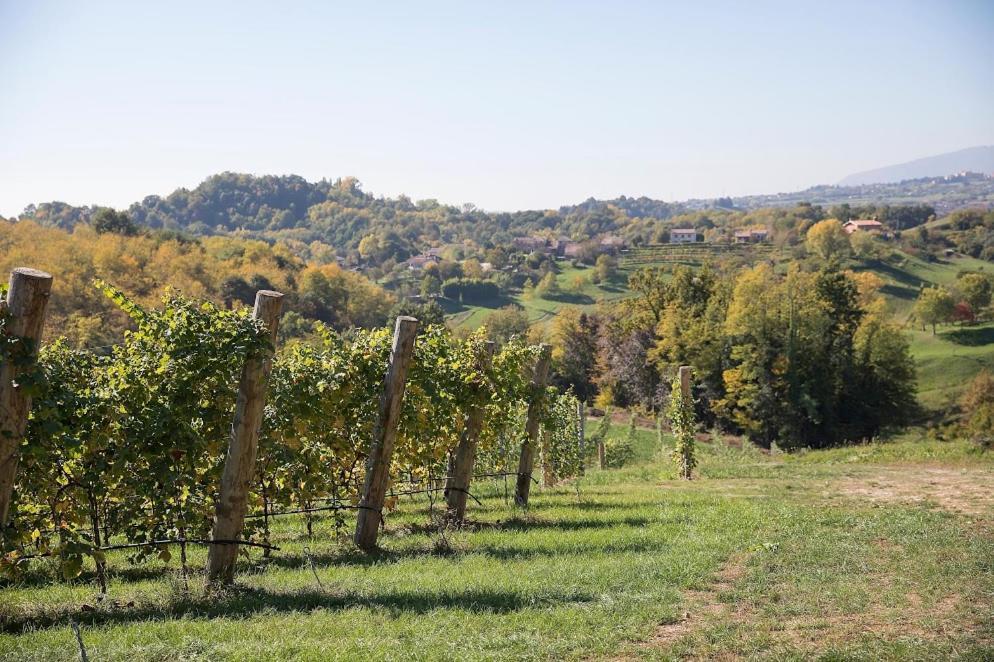 Agriturismo Al Capitello Villa Asolo Luaran gambar